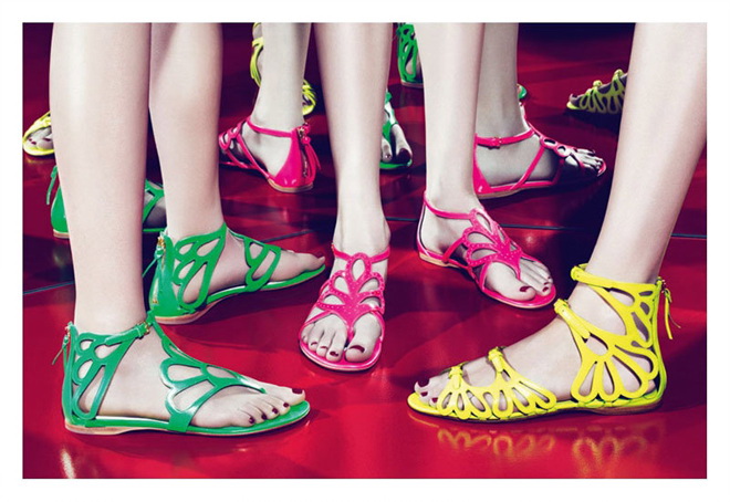 Miu Miu 2011 ĹͼƬ