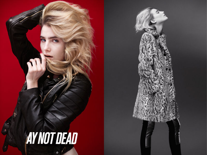 AY Not Dead 2011ﶬϵй ͼƬ