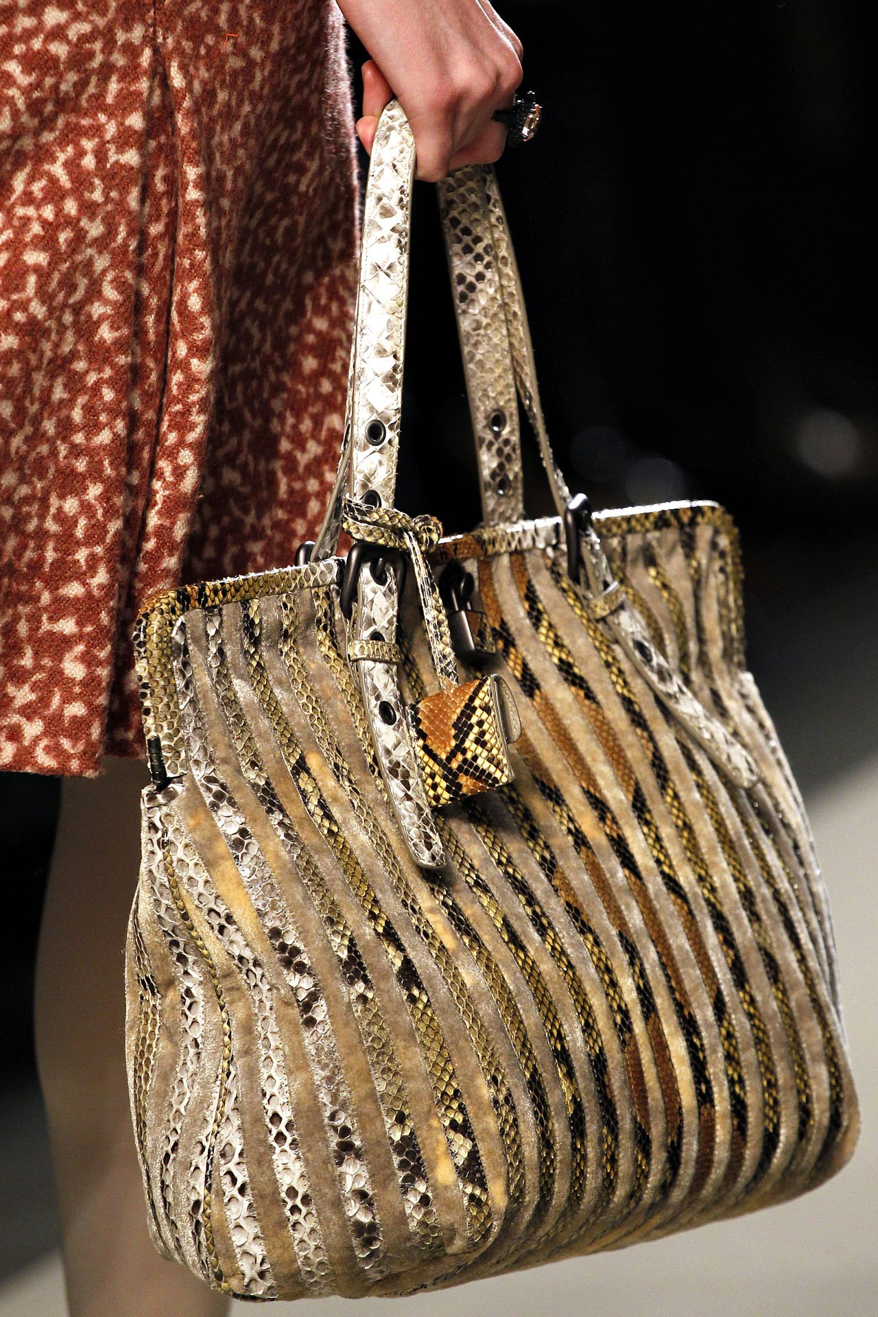 Bottega Veneta 2011ﶬϸڸͼƬ