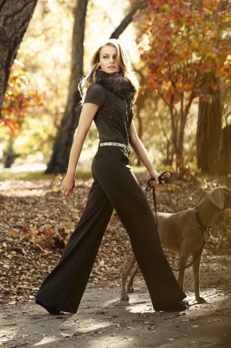 Ann Taylor 2011ﶬ LookBookͼƬ