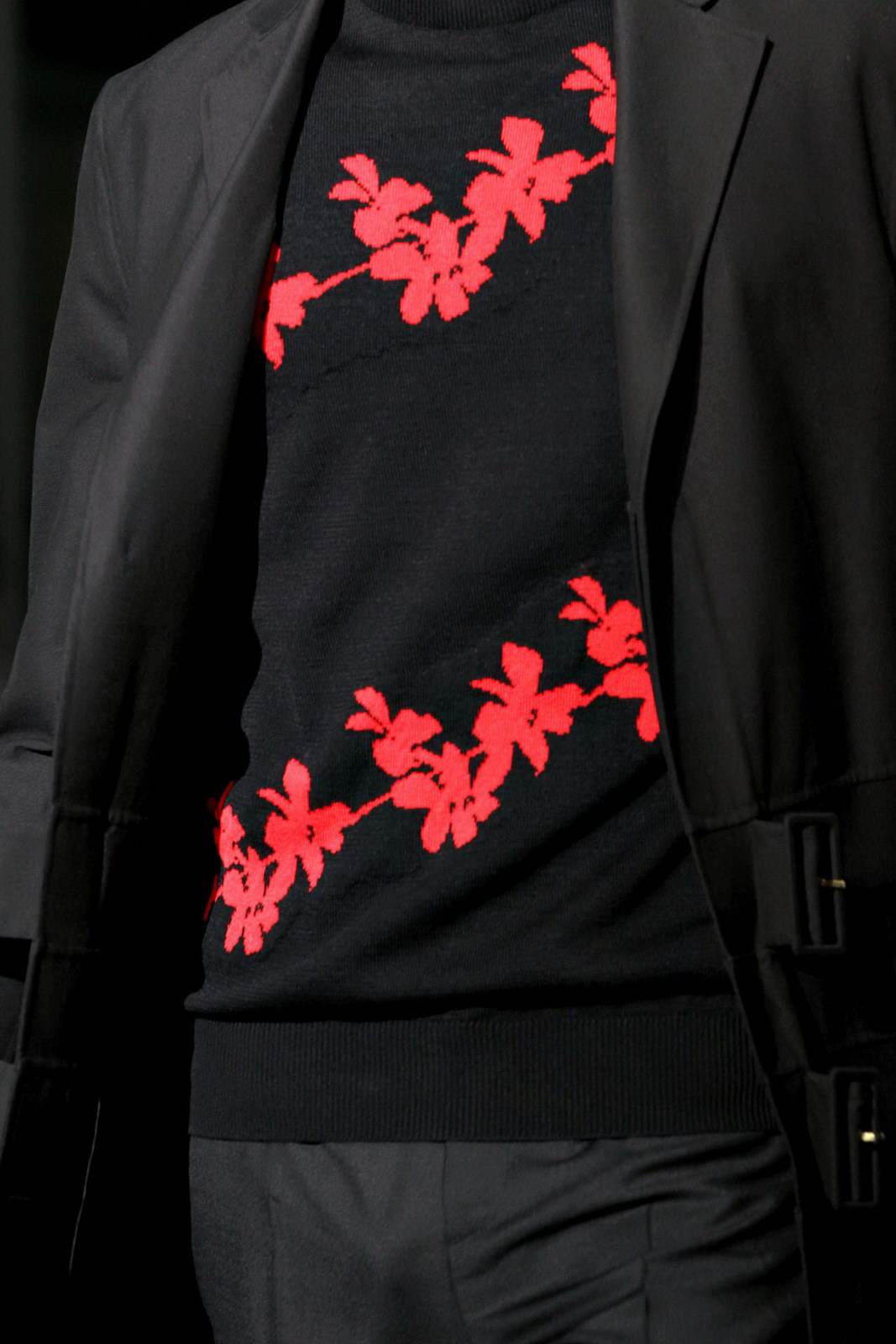 Raf Simons 2012װϸڸͼƬ