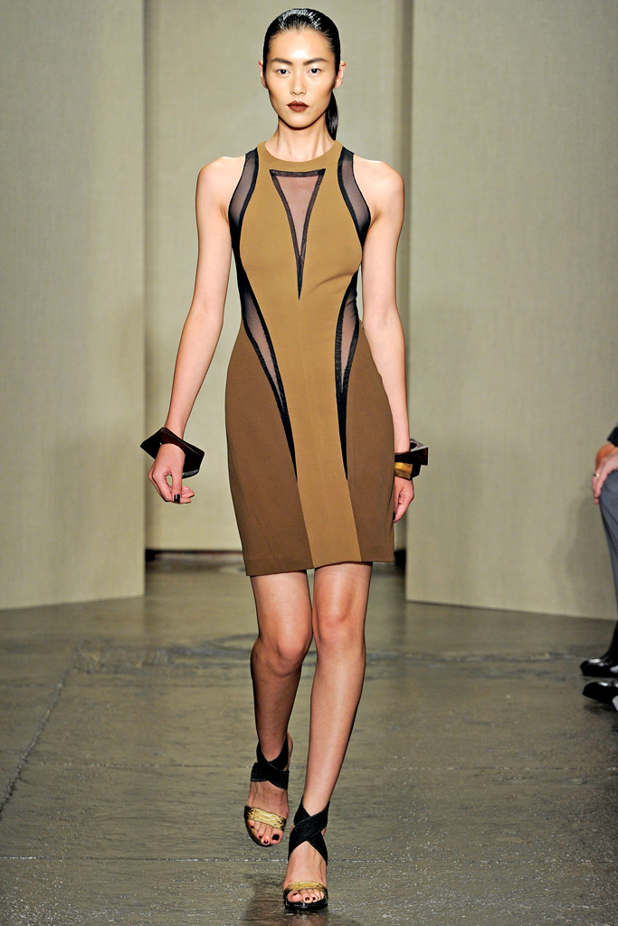 Donna Karan 2012㳡ͼƬ