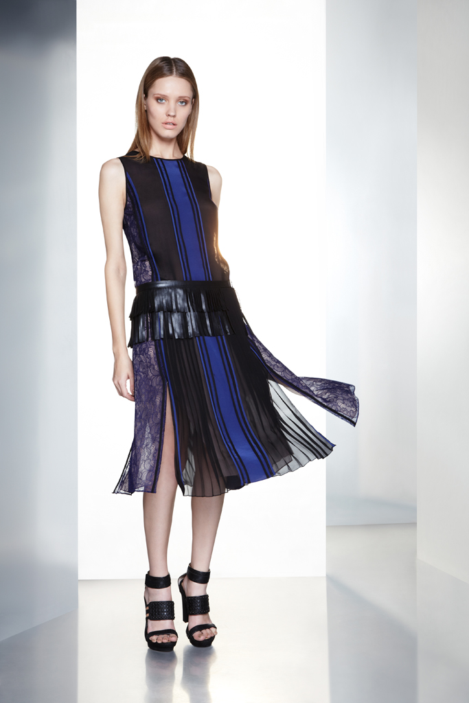 BCBG Max Azria 2012ϵиͼƬ