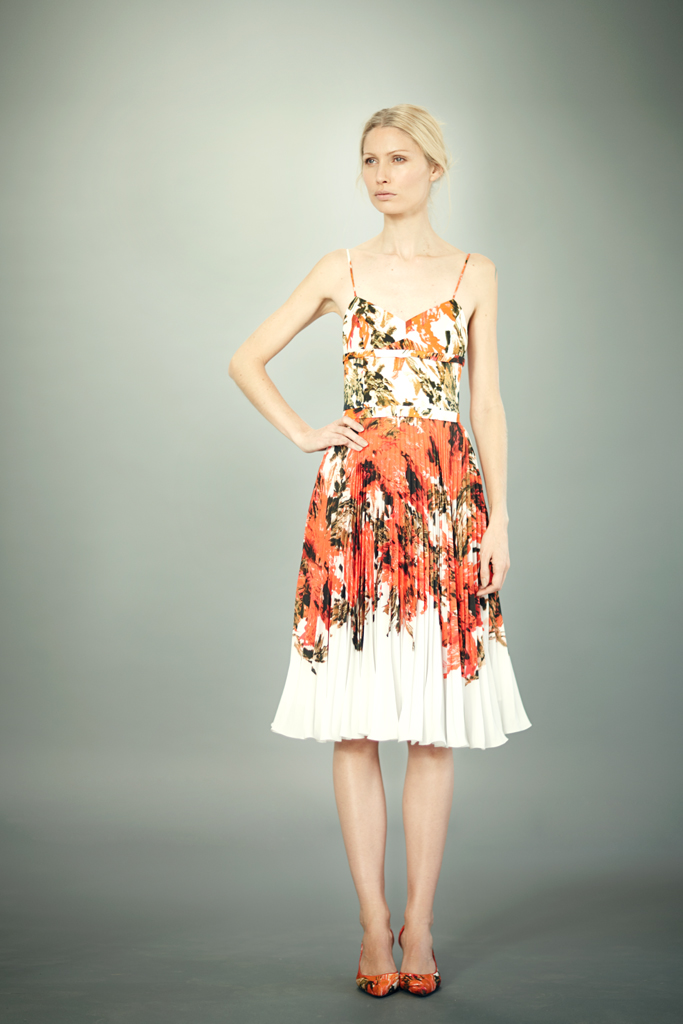 ERDEM 2012ϵ ͼƬ