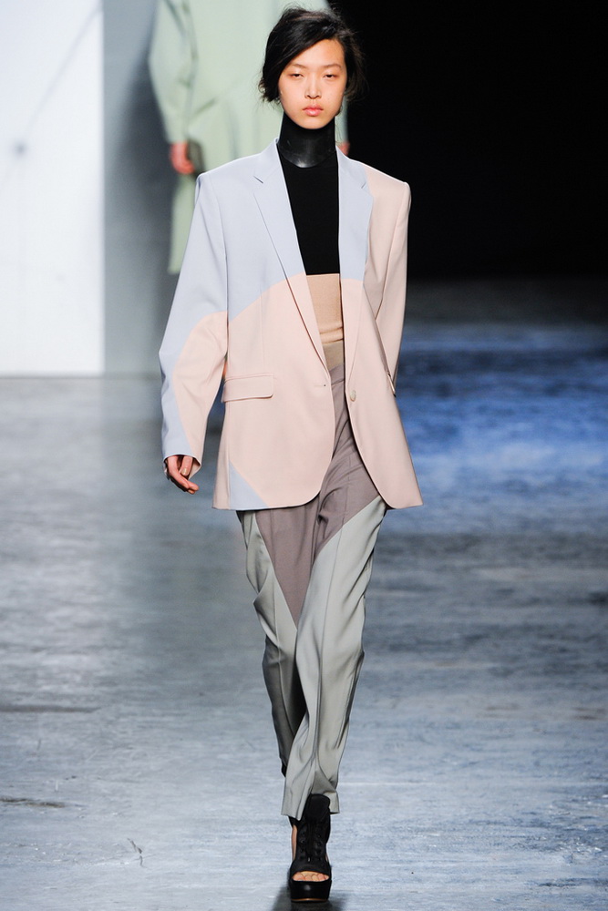 Acne 2012ﶬ¸ͼƬ