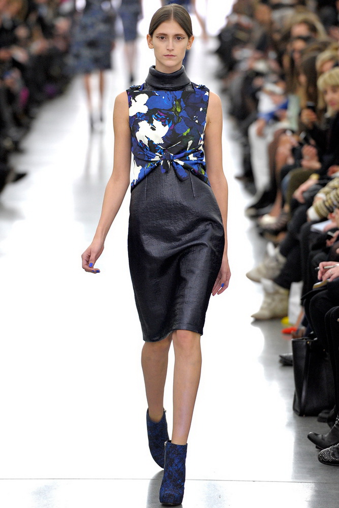 Erdem 2012ﶬ¸ͼƬ