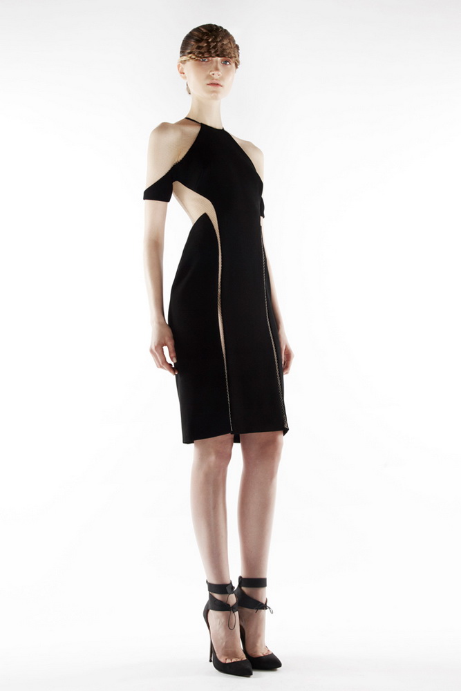 Dion Lee 2012ﶬ¸ͼƬ