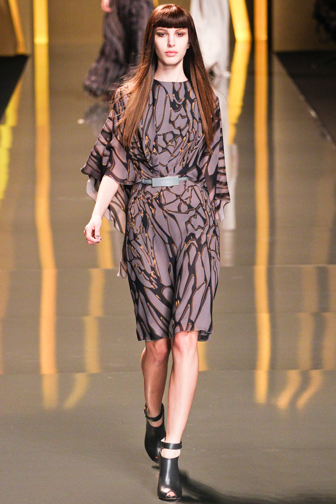 Elie Saab 2012ﶬ¸ͼƬ