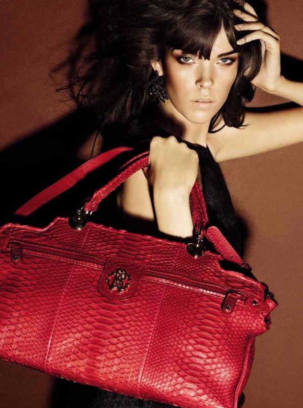 Roberto Cavalli 2012ϵ LookBook ͼƬ