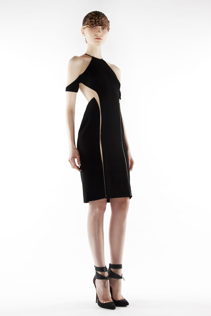 Dion Lee 2012ﶬLookbook ͼƬ