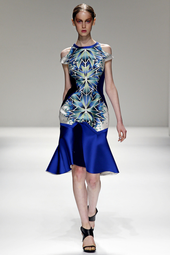 Bibhu Mohapatra 2013㳡ͼƬ