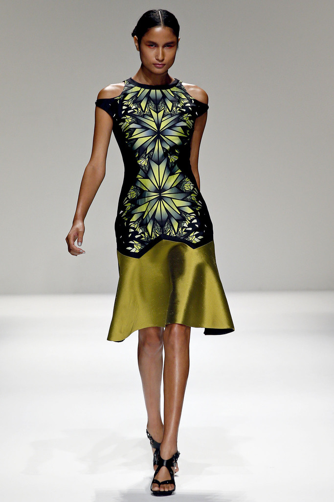 Bibhu Mohapatra 2013㳡ͼƬ