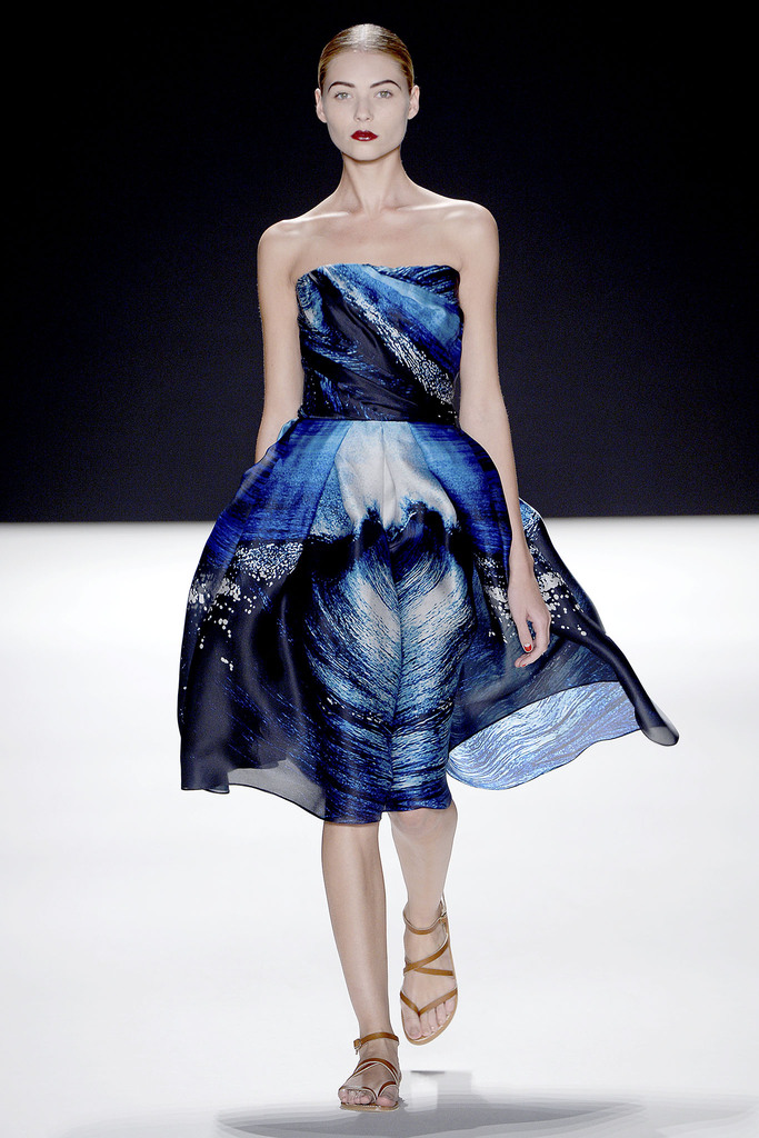 Naeem Khan 2013㳡ͼƬ