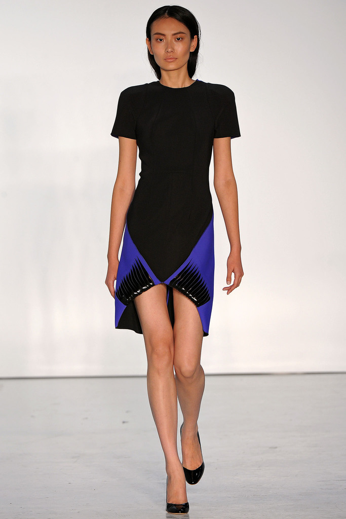 Dion Lee 2013㳡ͼƬ