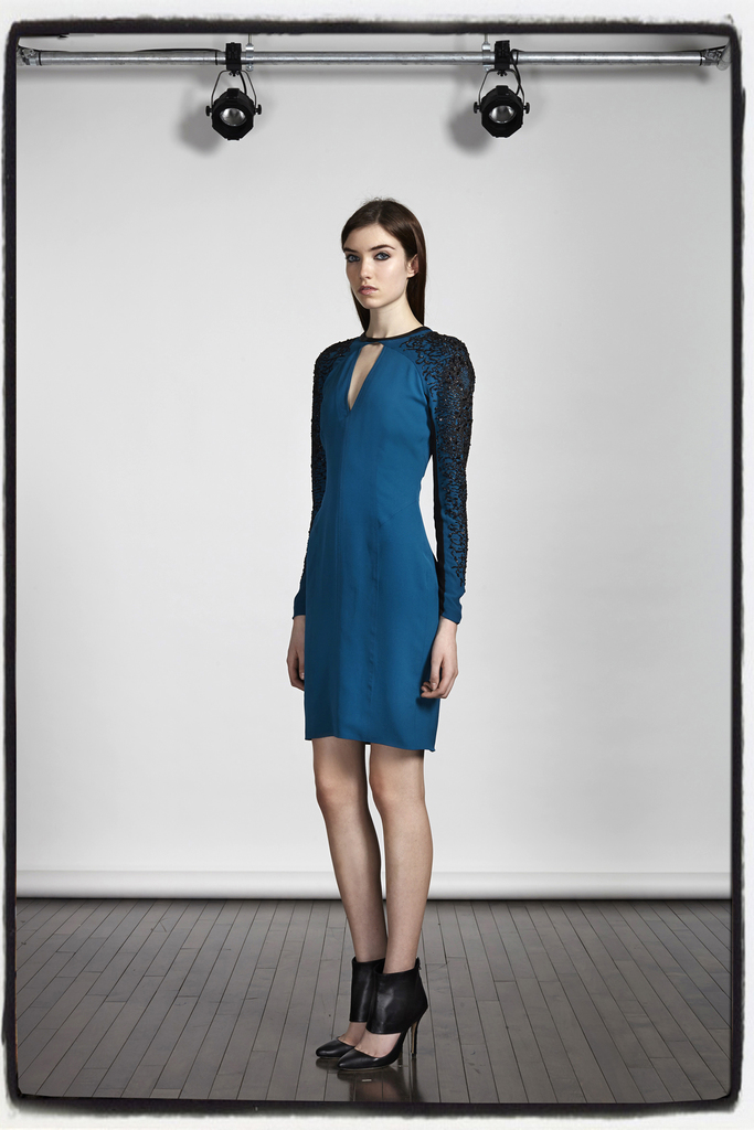 Yigal Azrouel 2013㳡ͼͼƬ