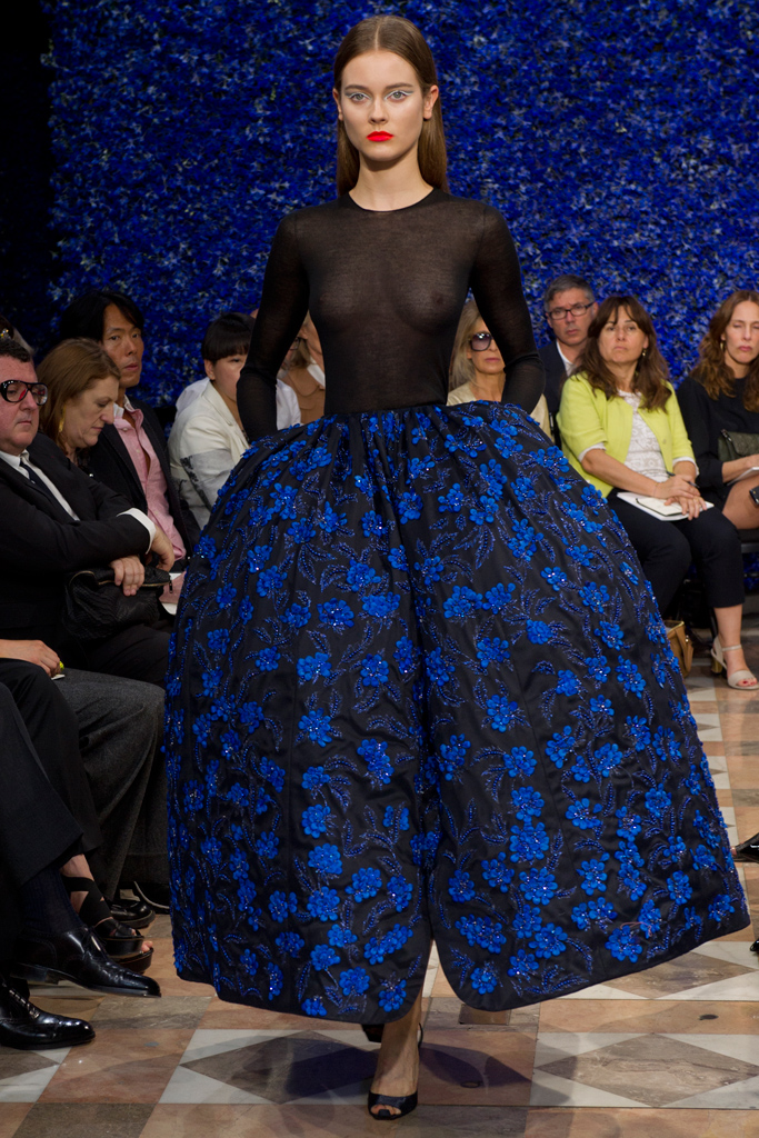 Christian Dior 2012ﶬ߼㳡ͼͼƬ