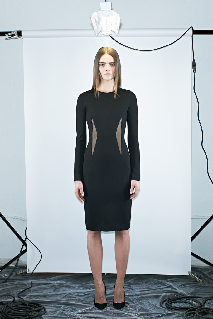 Cushnie Et Ochs 2013㳡ͼͼƬ