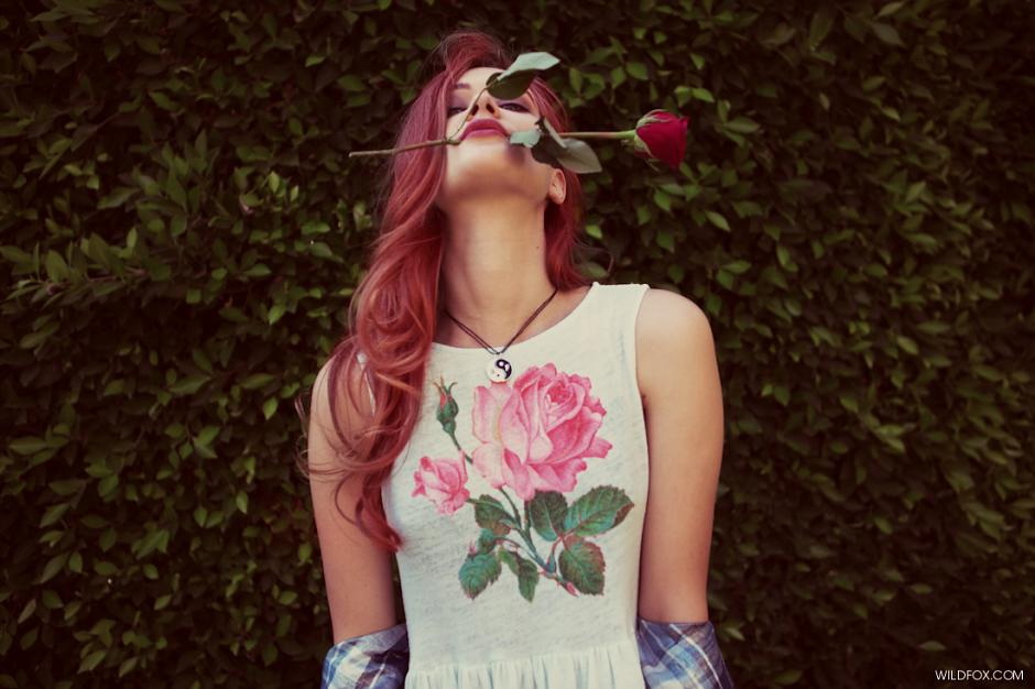 Wildfox 2013 LookbookͼƬ